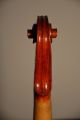 Old French Violin Jtl  Compagnon Iii String photo 7