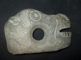 Chavin Mace Head Volcanic Stone Of Big Deer Head - Shaped,  Precolumbian,  Moche photo