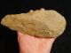 A Big One Million Year Old Early Stone Age Acheulean Handaxe Mauritania 810gr E Neolithic & Paleolithic photo 8