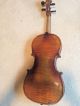 Vintage German 15.  5 Inch Viola String photo 1