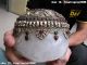 Nepal Handwork Made Crude Crystal Silver Inlay Ruby Beryl Death ' S - Head Reproductions photo 1