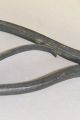 Very Early 18th C American Wrought Iron Sugar Nippers Grungiest Surface Primitives photo 11