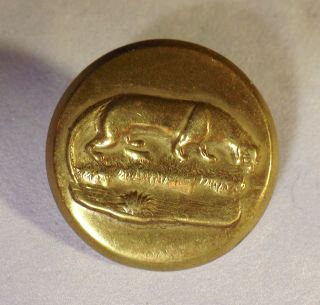 Scarce Antique Sporting Button W/ Otter & Unusual Waterville Mfg Co Back Mark photo