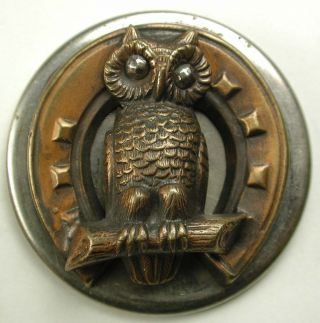 Antique Button Lg Sz Copper Owl On Horseshoe Wsteel Eyes Escutcheon 1 & 5/8 