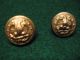 Antique Post Civil War U.  S.  Navy Buttons With Rare Back Marks Buttons photo 1