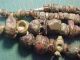 Necklace Of Bronze Age Beads Circa 1st Millennium Bc. European photo 6