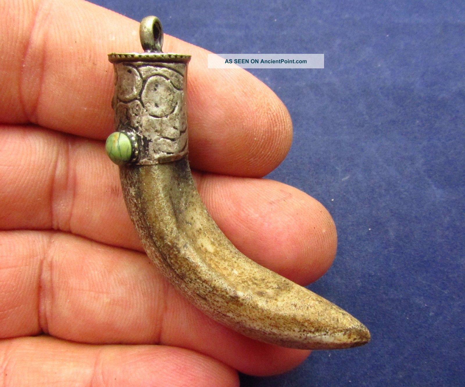 Viking Amulet - Norse Bear Tooth / Claw Pendant 8 - 10th Ad (2643 -) Scandinavian photo