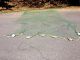 Authentic Fishing Net With Cork Floats - 10 X 20 Ft Fishing Nets & Floats photo 3