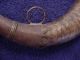 Antique Powder Horn W/ Metal Cap & Spout - North Africa - Morroco - 19th Century Other African Antiques photo 7