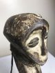 Unusual Lega Figure Other African Antiques photo 3