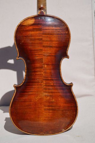 Old Violin Jacobus Stainer 1660 Model photo