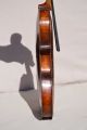 Old Violin Jacobus Stainer 1660 Model String photo 4
