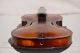 Old Violin Jacobus Stainer 1660 Model String photo 5