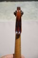 Old Violin Jacobus Stainer 1660 Model String photo 7