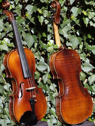 Fine Antique Violin By Ladislav F.  Prokop,  Chrudim 1938.  Tone & Build photo