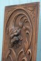 19thc Wooden Oak Panel With Cornucopia Of Fruits,  Flowers & Leaves C1880s Other Antique Woodenware photo 5