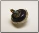 Rare Molded Crystal Glass Button W Purple Base W White Spots Center W Glass Cap Buttons photo 5