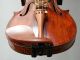 Old Violin 4/4 Labelled Antonius Comuni 1823 String photo 3