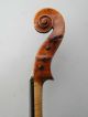 Old Violin 4/4 Labelled Antonius Comuni 1823 String photo 4